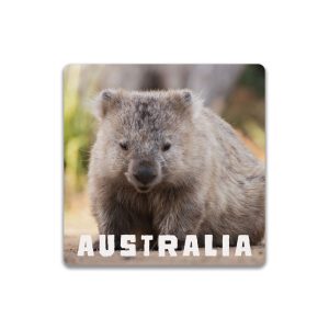 Ceramic Coaster Square Wombat