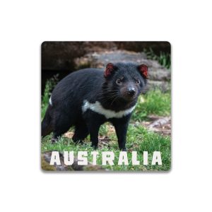 Ceramic Coaster Square Tasmanian Devil