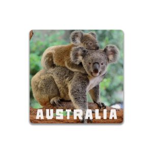Ceramic Coaster Square Koalas