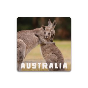 Ceramic Coaster Square Kangaroos