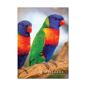 Tea Towel Microfibre Brisbane Rainbow Lorikeets