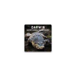 Ceramic Magnet Square Darwin Crocodile
