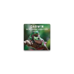 Ceramic Magnet Square Darwin Frogs