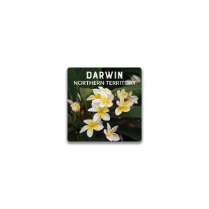 Ceramic Magnet Square Darwin Frangipanis