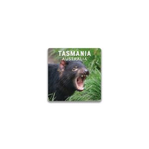 Ceramic Magnet Square Tasmania Tassie Devil