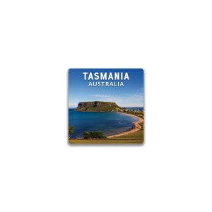 Ceramic Magnet Square Tasmania The Nut Stanley