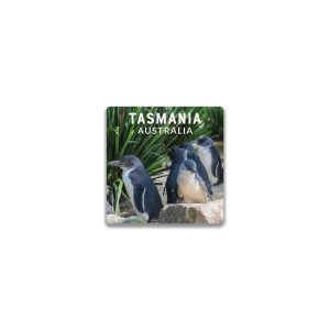 Ceramic Magnet Square Tasmania Penguins