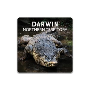 Ceramic Coaster Square Darwin Crocodile