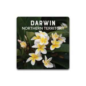 Ceramic Coaster Square Darwin Frangipanis