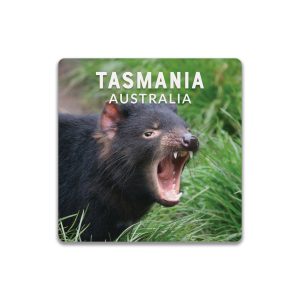 Ceramic Coaster Square Tasmania Tassie Devil