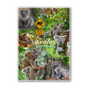 Tea Towel Microfibre Koalas Montage